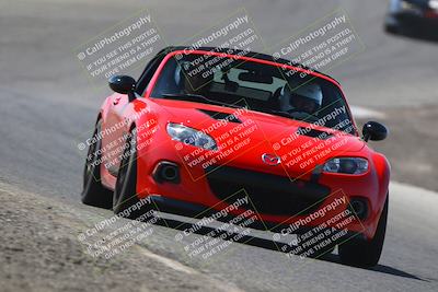 media/Sep-13-2025-Speed Ventures (Sat) [[d6c7200295]]/Yellow/Session 2 (Phil Hill)/